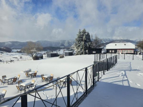 Ursa Mica Glamping Resort